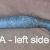 Classic A - left side