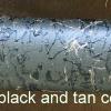 OD Green with black and tan contrast