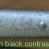 OD Green with black contrast